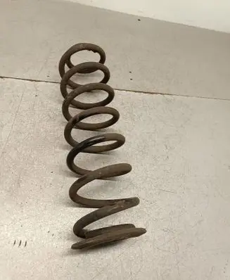 Rear coil spring
