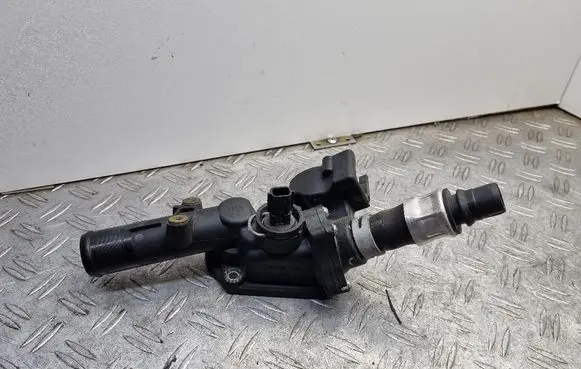 Thermostat/thermostat housing