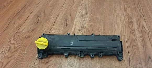 Renault Kangoo I Rocker cam cover 8200379908