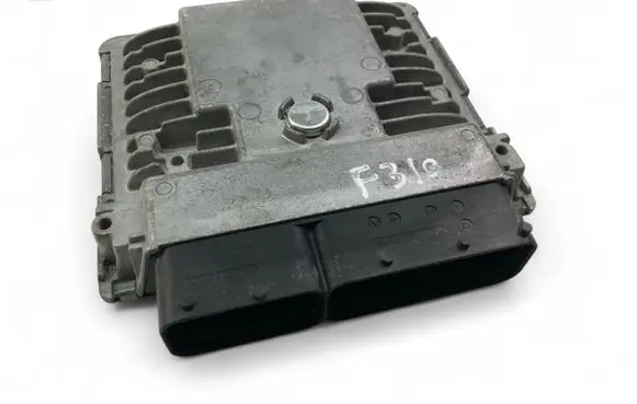 Engine control unit/module ECU
