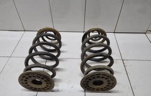 Rear coil spring