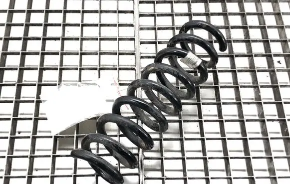Rear coil spring