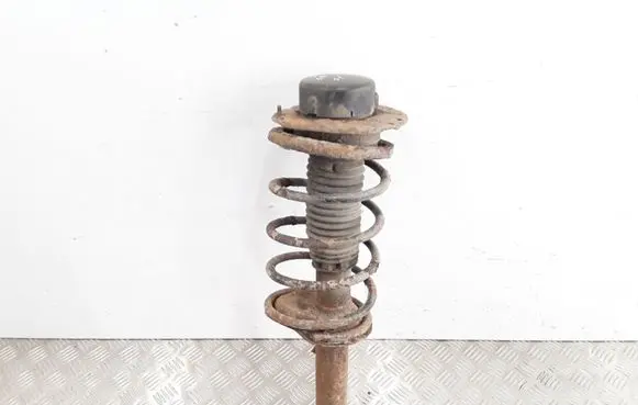 Peugeot 206 Front shock absorber with coil spring
