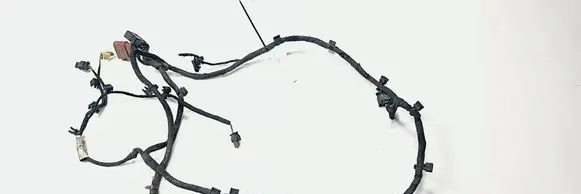 Audi A8 S8 D5 Wiring harness 4N0971095CR
