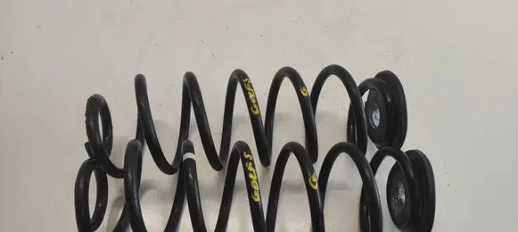 Volkswagen Golf V Rear coil spring