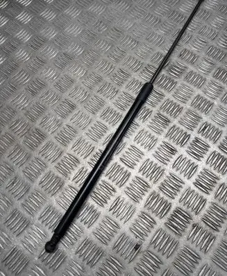 Nissan Juke I F15 Tailgate/trunk strut/damper 90450BV81A