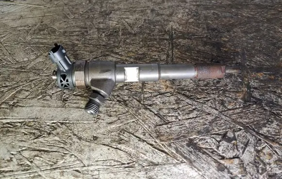 Dacia Dokker Fuel injector 0445110485 H8201108033