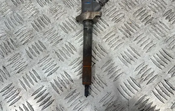 Peugeot Partner Fuel injector 0445110311