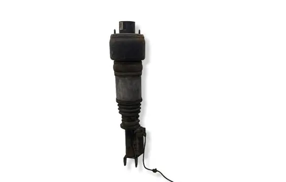 Mercedes-Benz CLS C219 Air suspension front shock absorber A2193201113