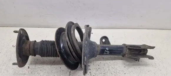 Hyundai Santa Fe Front shock absorber/damper 