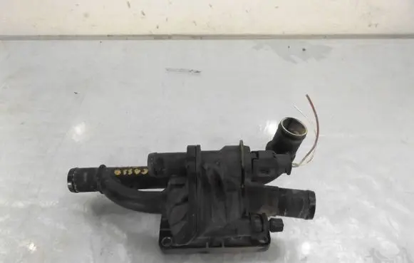 Thermostat/thermostat housing