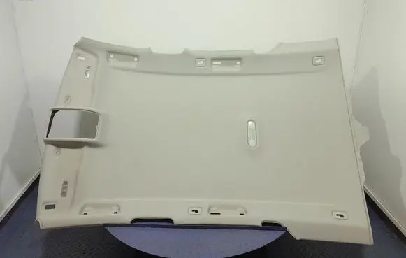 Audi A6 Allroad C6 Headlining 4G9867506