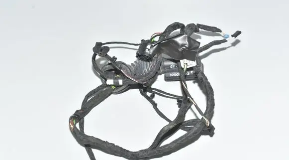 Rear door wiring loom