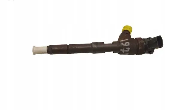 Dacia Dokker Fuel injector 0445110485