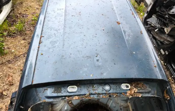 Ford Focus Roof 