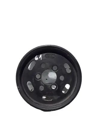 Volkswagen Golf IV Power steering pump pulley 038145255