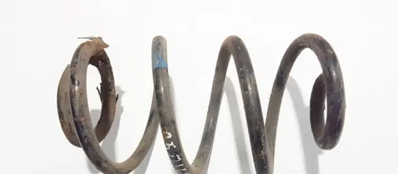 Rear coil spring