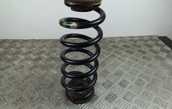 Rear coil spring