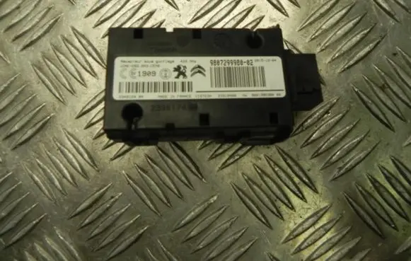 Peugeot 3008 II Other control units/modules 9807299980 G3169