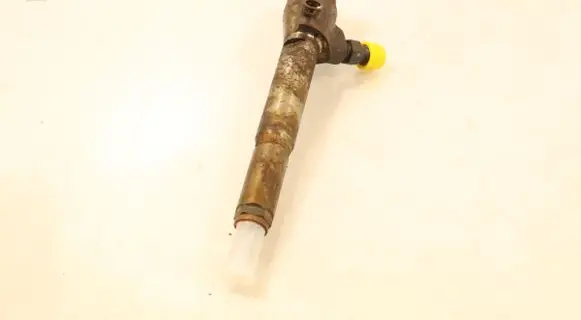 Renault Laguna III Fuel injector H8200294788