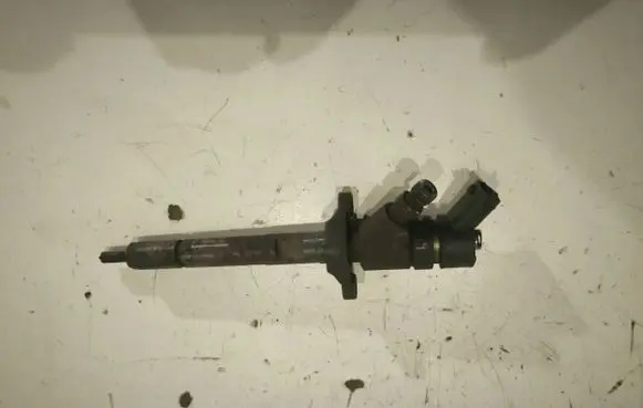 Mercedes-Benz C W203 Fuel injector 04455110