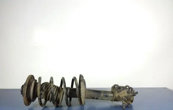 Opel Vectra C Front shock absorber with coil spring DSB050G