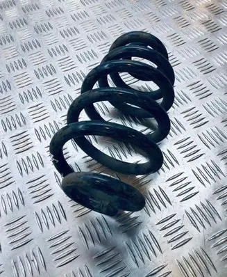 Audi A4 S4 B7 8E 8H Rear coil spring