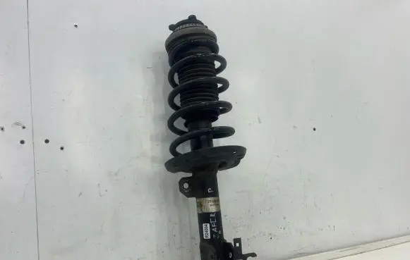 Opel Zafira B Front shock absorber/damper 22141606