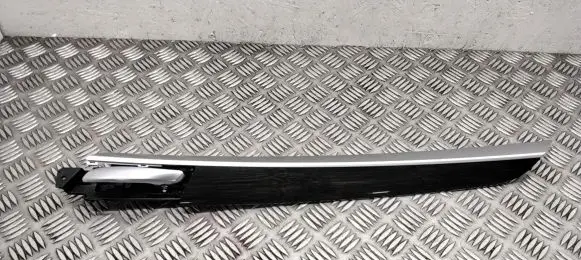 BMW X5 E70 Rear door card trim 4993101
