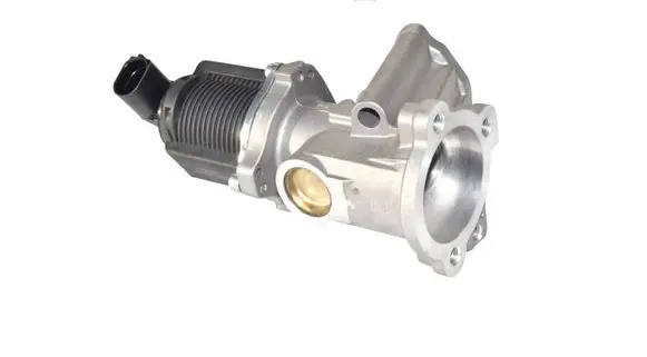 Fiat Punto (199) EGR valve 71793409 0071793409