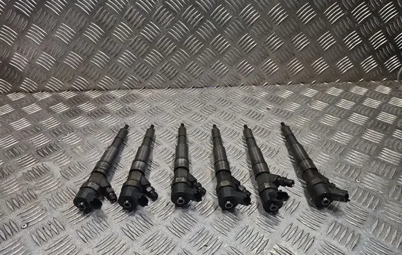 BMW 5 E39 Fuel injector 0445110