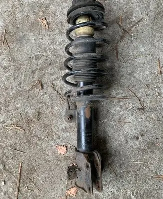 Fiat Bravo Front shock absorber with coil spring 03751907