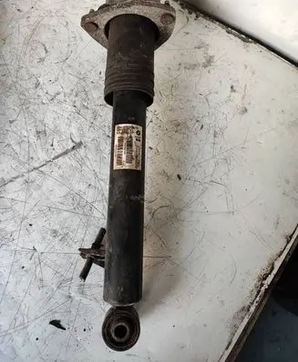 BMW X6 E71 Rear shock absorber/damper 6783018