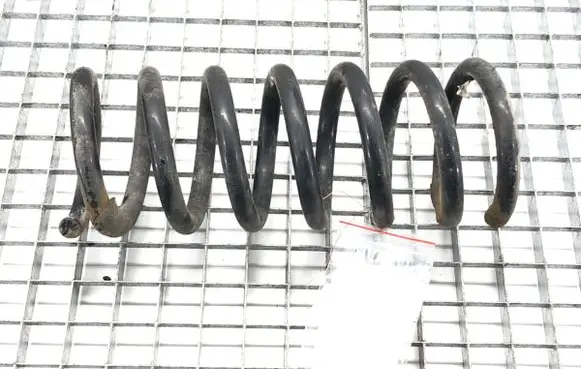 Rear coil spring