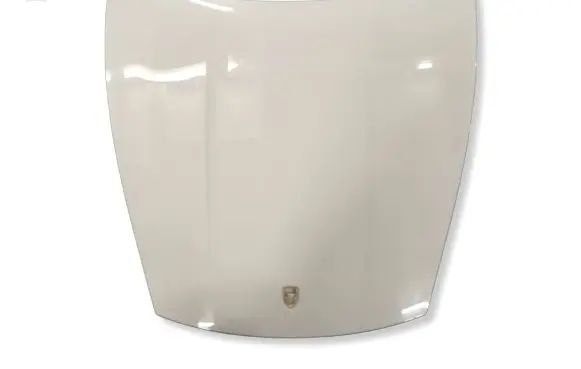 Porsche Taycan 9J1 Engine bonnet/hood 