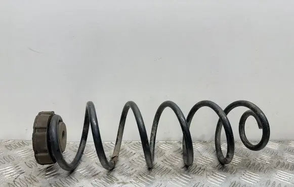 Volkswagen PASSAT B7 Rear coil spring