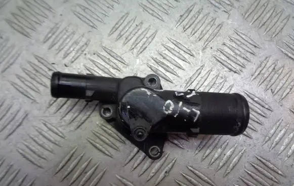 Thermostat/thermostat housing
