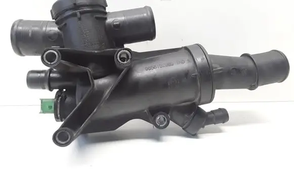 Thermostat/thermostat housing