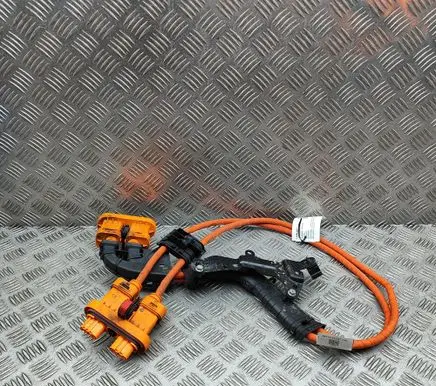 Cupra Born Other wiring loom 1EA971015T