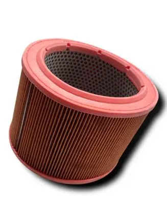 Citroen Berlingo Fuel filter D950 1444G1