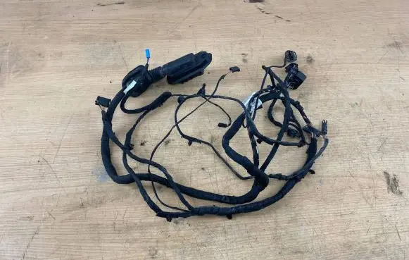 BMW 6 F06 Gran coupe Front door wiring loom 9355649 4366595