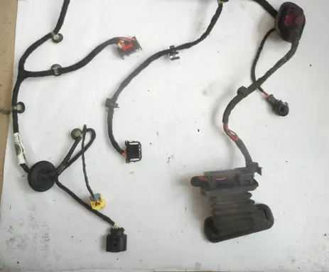 Volkswagen PASSAT B6 Front door wiring loom 3C1971121BN