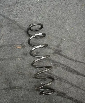 Seat Leon (5F) Rear coil spring