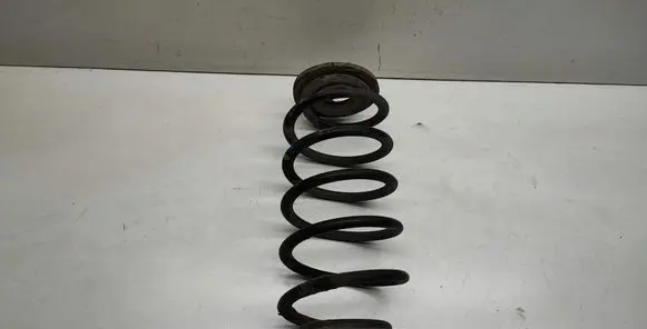 Volkswagen Golf V Rear coil spring