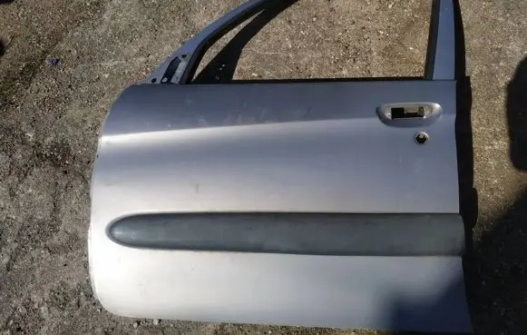 Citroen Xsara Picasso Front door PILKOS
