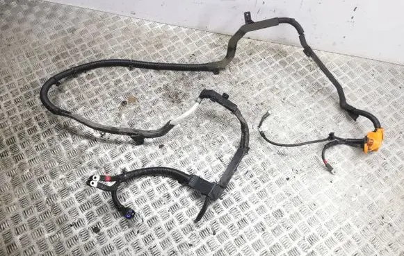 Hyundai i20 (BC3 BI3) Other wiring loom 91671Q0010