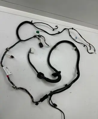 Front door wiring loom