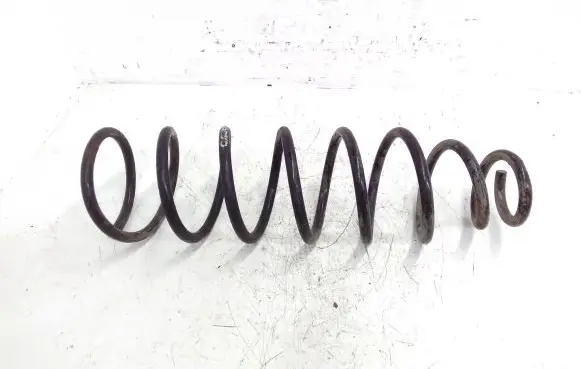 Mitsubishi Galant Rear coil spring