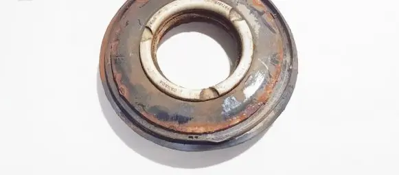 Coil spring mount