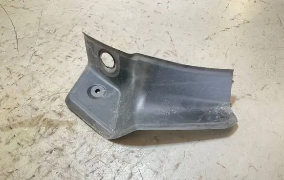 Rear/tail light trim molding